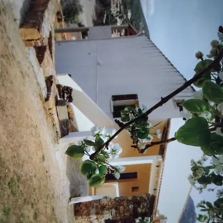 Chloe * Galeria (Corsica)